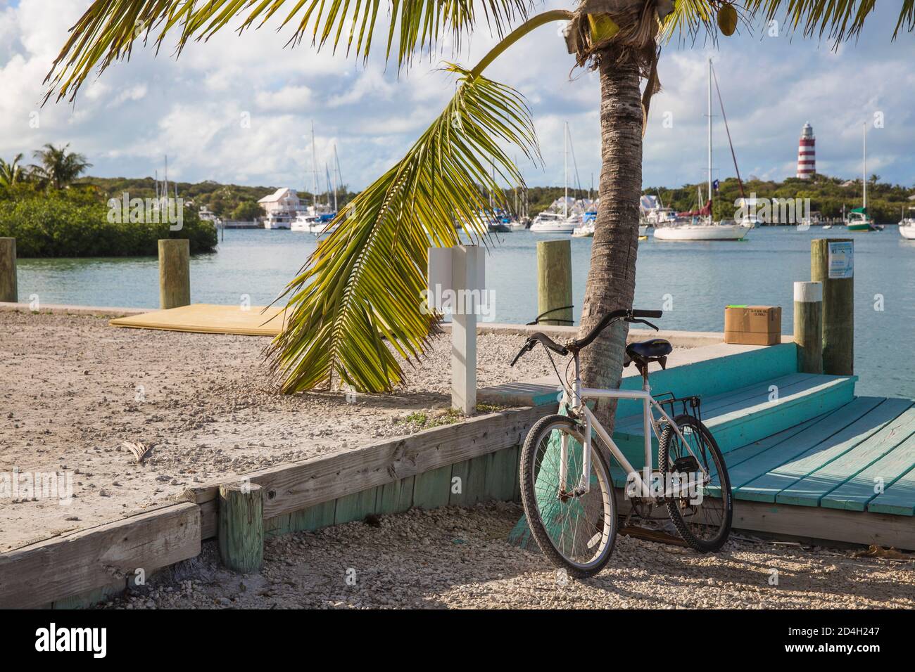 Bahamas, Abaco Islands, Elbow Cay, Hope Town, Fahrrad, das sich an der Hafenfront gegen die Palme lehnt Stockfoto