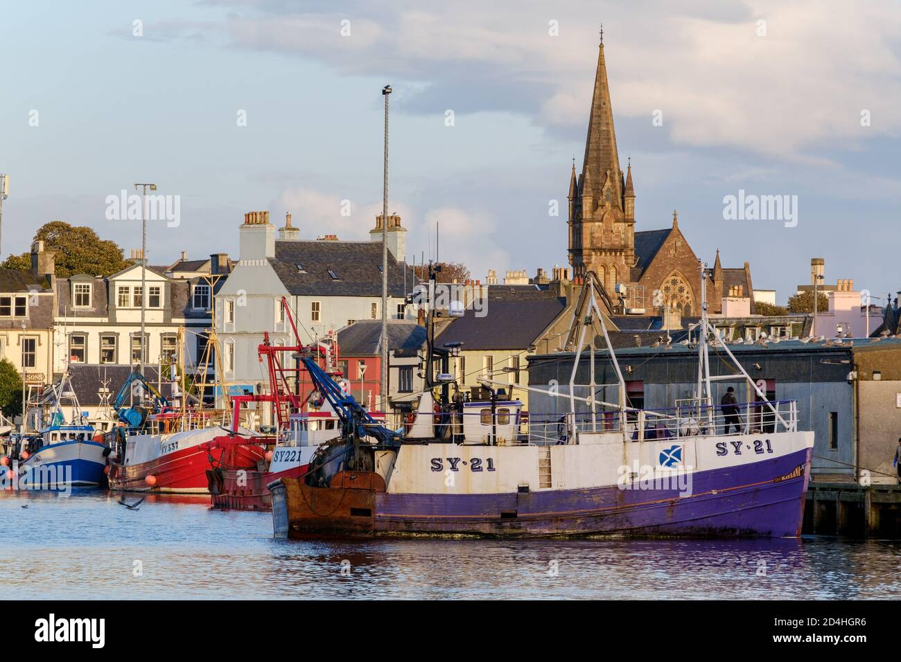 Das Stornoway-Fischerboot ‘Kaylana’ SY21 kommt mit und bereitet sich darauf vor, auf dem Fischmarkt anzubinden. Stockfoto