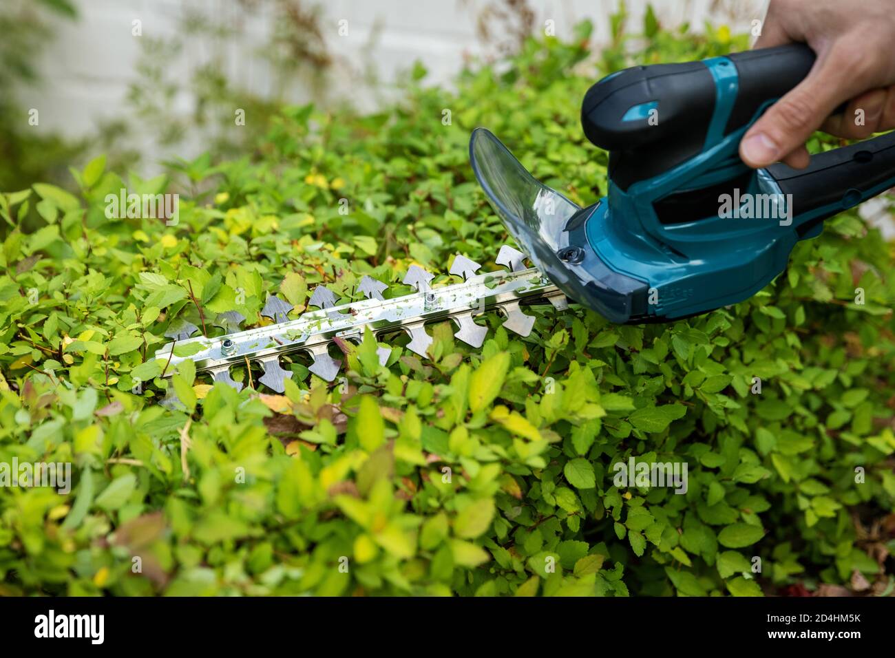 Gartengeräte - Mann mit einem elektrischen Trimmer zu beschneiden Eine Dornhecke Stockfoto