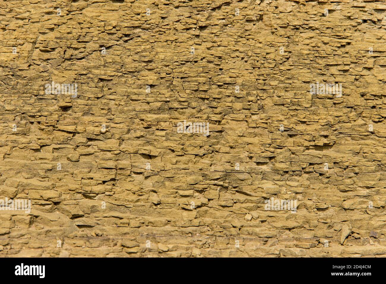 Die Oberfläche eines Sandsteinfelsen am Meer, verwittert und von der Sonne versengt Stockfoto