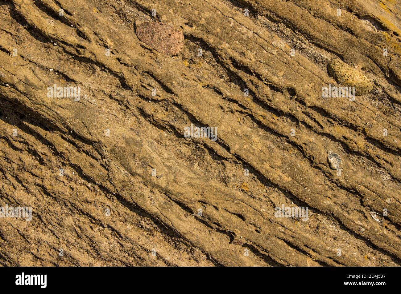 Die Oberfläche eines Sandsteinfelsen am Meer, verwittert und von der Sonne versengt Stockfoto