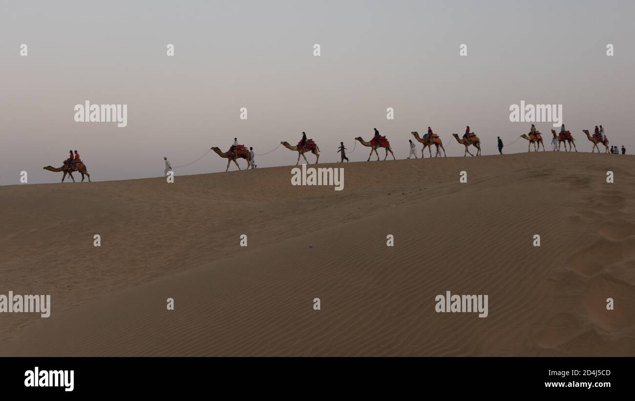 Eine Reihe von Kamelen zu Fuß auf Sam Sanddünen mit Menschen, die auf ihnen sitzen Stockfoto