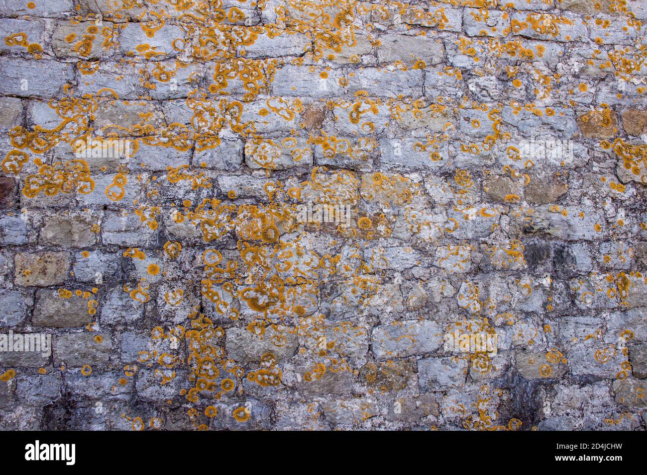 Nahaufnahme von Mauerwerk an einer alten Steinmauer mit Moos bedeckt. Stockfoto