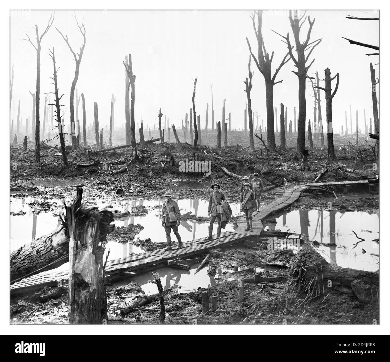 Archiv SCHLACHTFELD PASSCHENDAELE NACH dem 1. Weltkrieg 12. Oktober 1917 die 3. Australische Division und die Neuseeländer, unterstützt von der 4. Australischen Division, wurden gegen das Dorf Passchendaele gestartet. Das Wetter hatte das Schlachtfeld in Schlamm verwandelt. Artillerieunterstützung schwach; Geschosse explodierten harmlos im Schlamm, zerschnitten weder den Stacheldraht des Feindes, noch verstummten sie die Geschütze. Die Neuseeländer kämpften über 2,300 Meter Schlamm, um von Maschinengewehren geschlachtet zu werden. Die Australier erreichten den Rand von Passchendaele, wurden aber mit zunehmenden Verlusten gezwungen, sich zurückzuziehen. Der Angriff war eine Katastrophe. Stockfoto