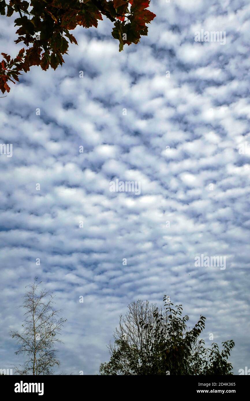 Blauer Himmel mit Makrelenhimmel Wolken, Ariege, Französische Pyrenäen, Frankreich Stockfoto