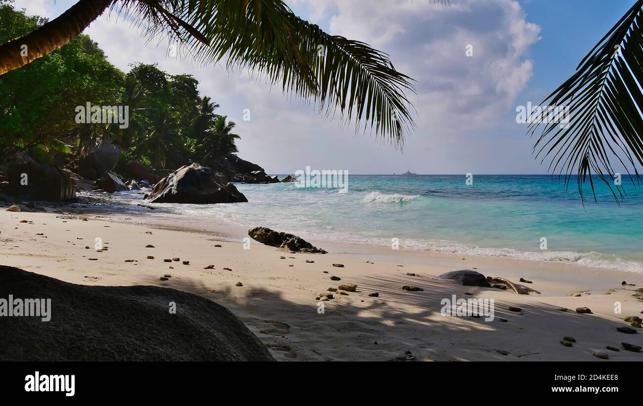 Granitfelsen und Kokospalmen am wunderschönen Strand von Anse Patates mit türkisfarbenem Wasser auf der Insel La Digue, Seychellen. Stockfoto