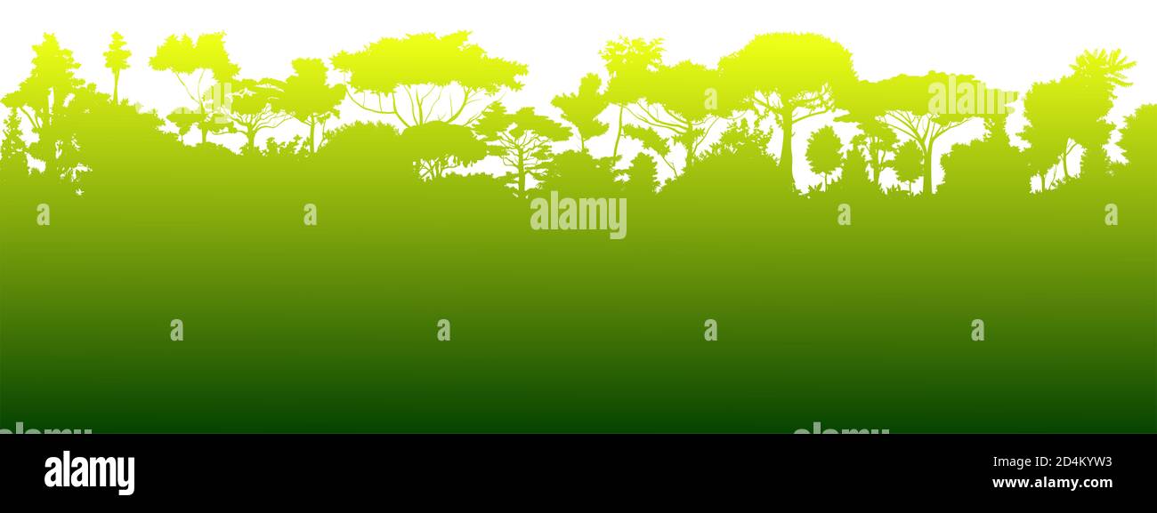 Sommergrüner Wald Silhouette. Vektor. Sommerlandschaft Dschungel. Panoramablick. Grüne Landschaft. Laubdarstellung. Stockfoto