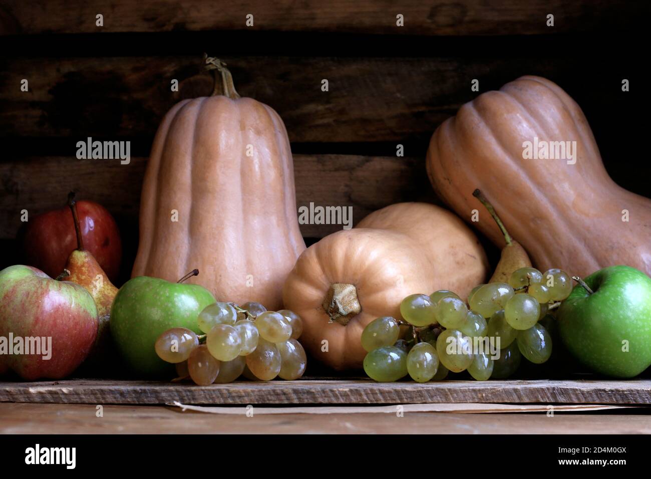 Herbststillleben mit verschiedenen Früchten: Kürbisse, Birnen, Äpfel und Trauben. Naturprodukte auf einem alten Holzhintergrund. Stockfoto