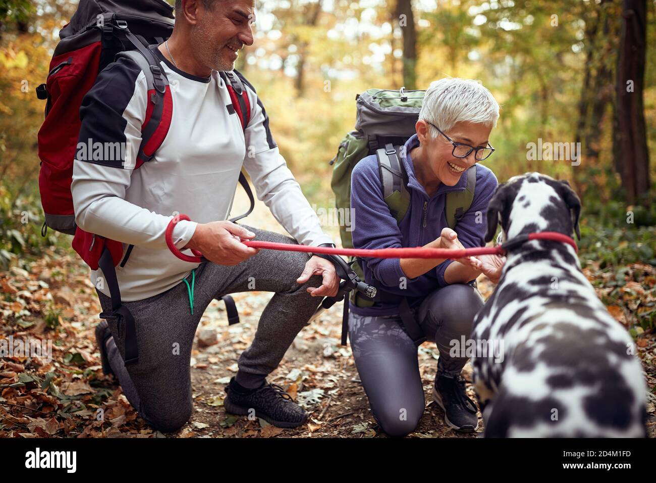 Ein älteres Wanderpaar und ihr Hund haben wunderbare Momente Bei einer Wanderung an einem schönen Herbsttag Stockfoto