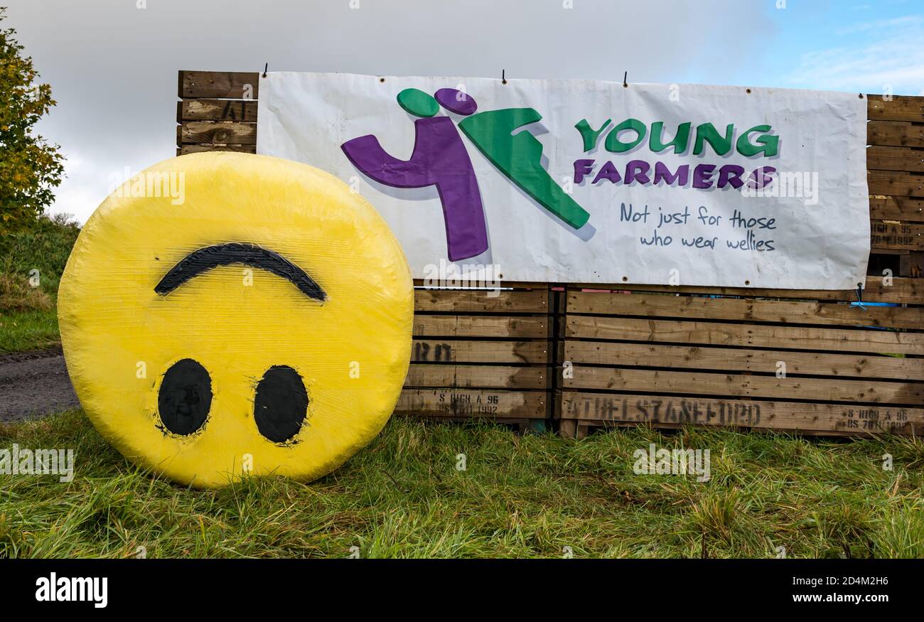 Schrulliger Heuballen mit gemaltem Gesicht Spendengelder für die Wohltätigkeitsorganisation von Young Farmers, Achtelstaneford Hauptfarm, East Lothian, Schottland, Großbritannien Stockfoto