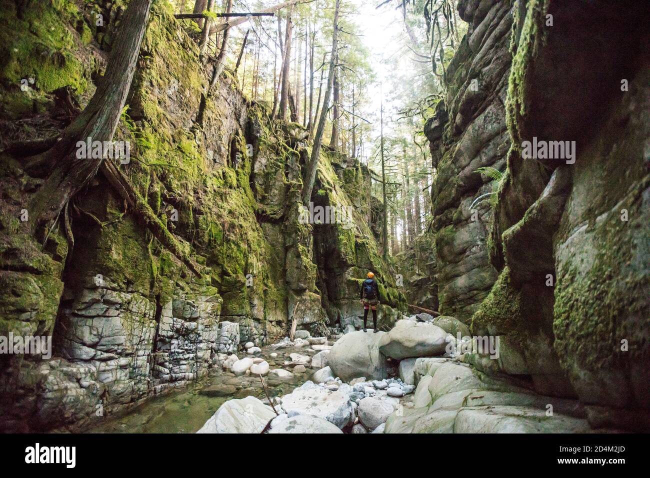 Ein Mann, der die üppige Schlucht des Flusses in Vancouver, Kanada, erkundet. Stockfoto