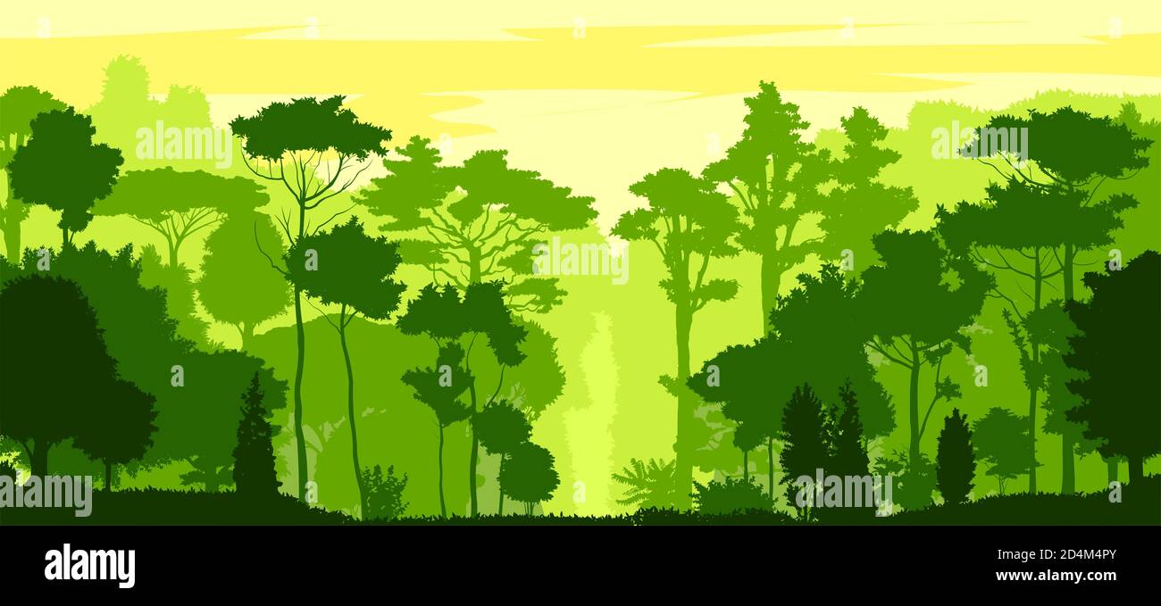 Sommergrüner Wald Silhouette. Vektor. Sommerlandschaft Dschungel. Panoramablick. Grüne Landschaft. Laubdarstellung. Stockfoto