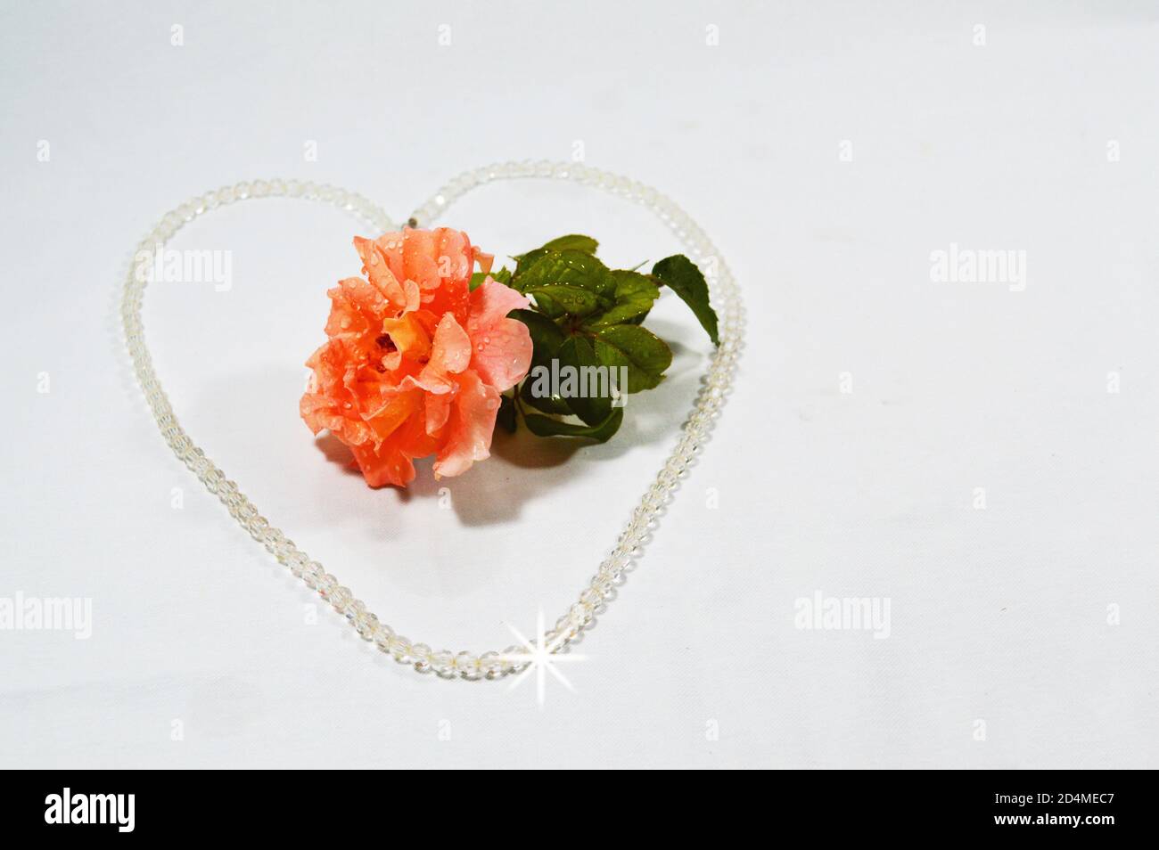 Alte Rosenblüte mit Blättern in der Mitte des Kristalls necklage Stockfoto