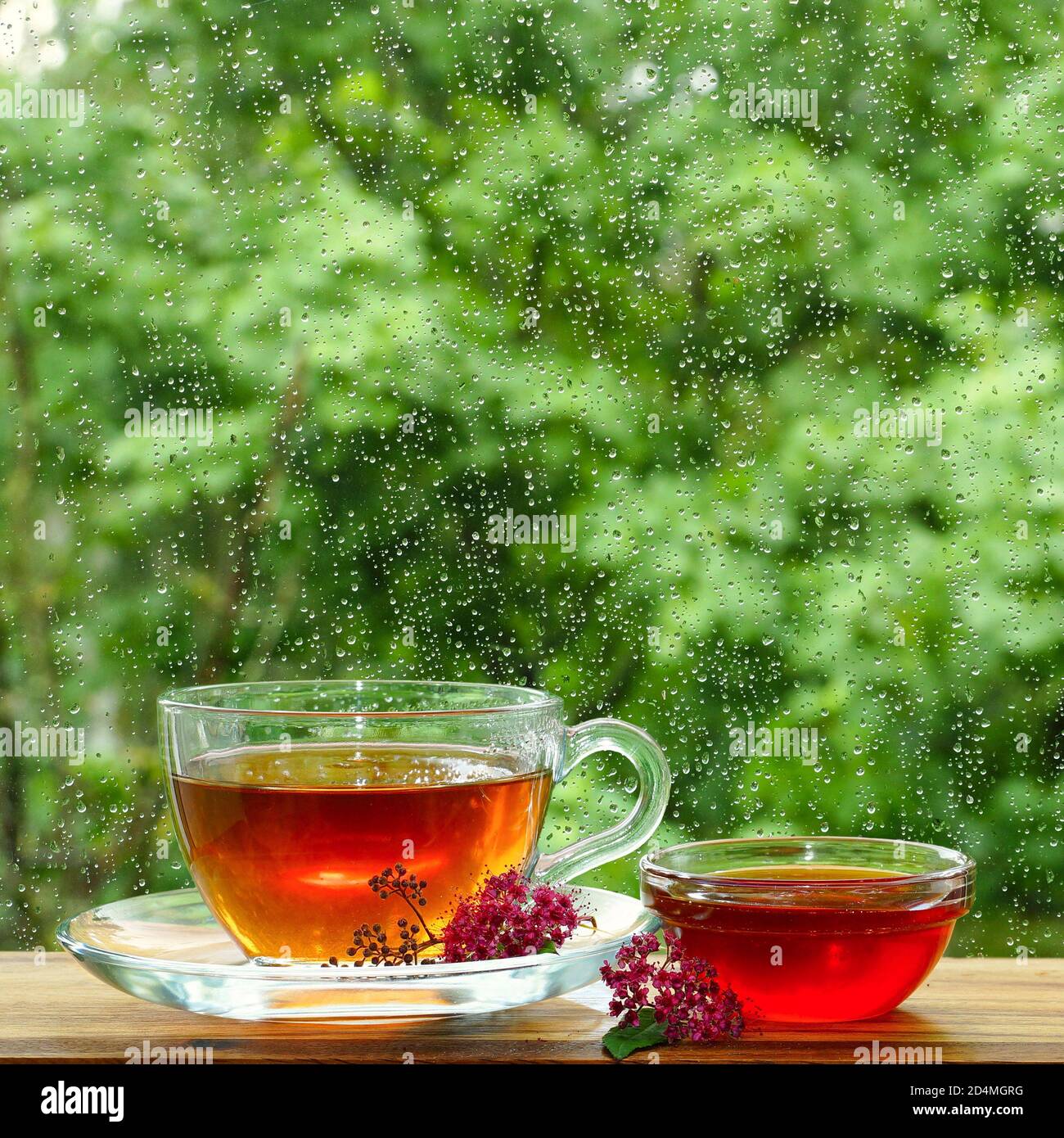 Eine Tasse Tee und Blütenhonig am Fenster. Es regnet vor dem Fenster. Glas in den Regentropfen. Stockfoto