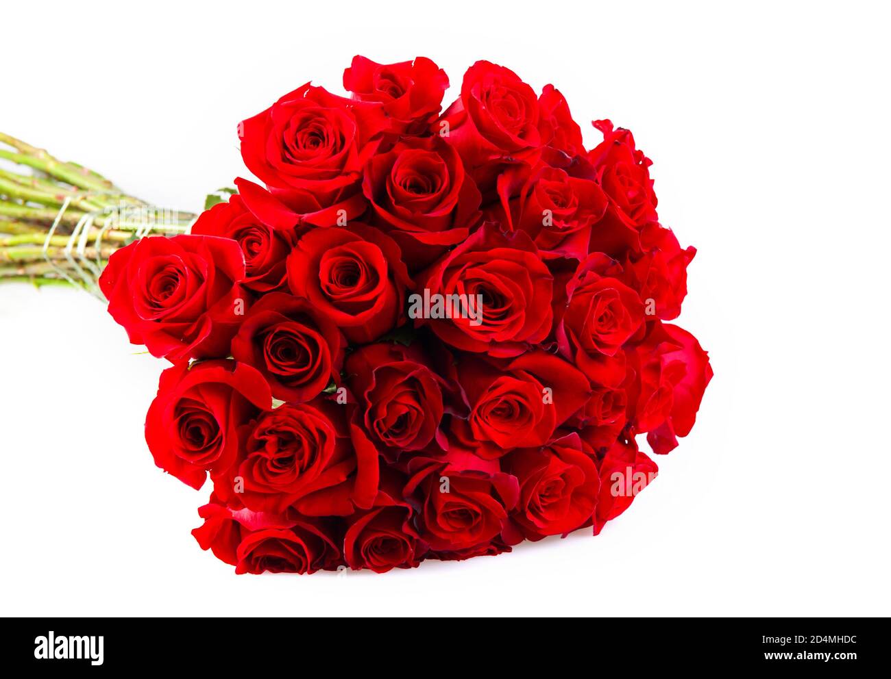 Strauß roter Rosen auf dem weißen Hintergrund isoliert Stockfoto