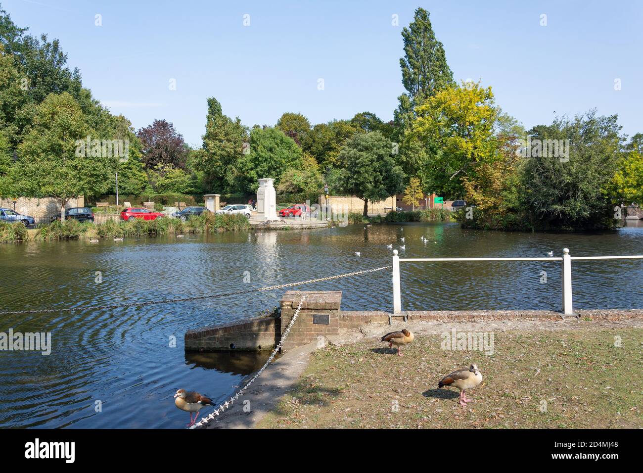 Carshalton Ponds, Carshalton, London Borough of Sutton, Greater London, England, Vereinigtes Königreich Stockfoto