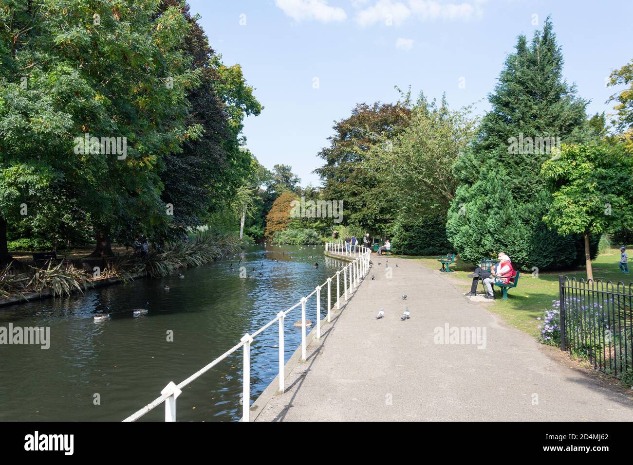 The Grove Garden, Carshalton Ponds, Carshalton, London Borough of Sutton, Greater London, England, Vereinigtes Königreich Stockfoto