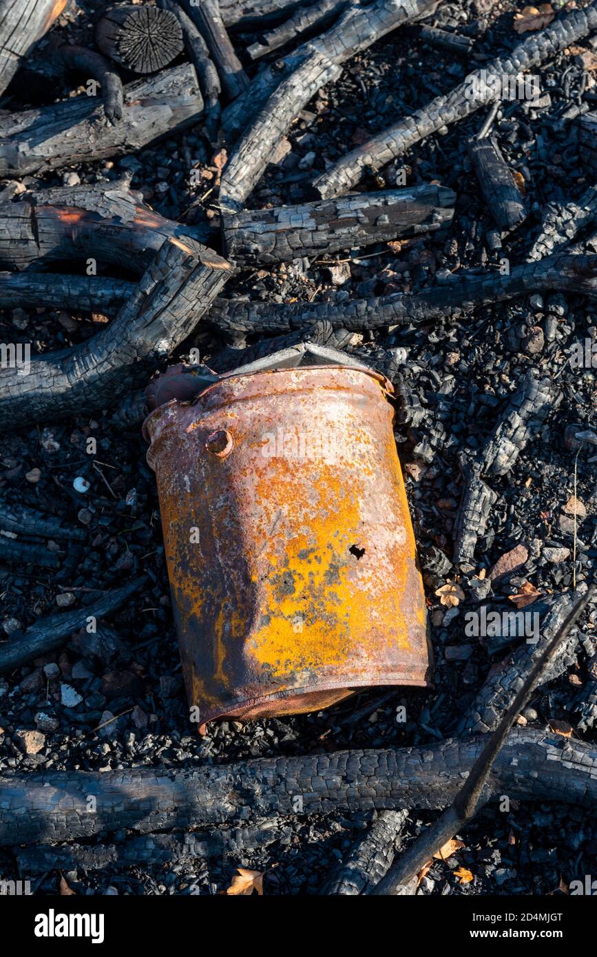 Reste eines Feuers. Verbrannte Äste. Verkohltes und rissenes Holz. Asche. Blechdose mit Loch Stockfoto