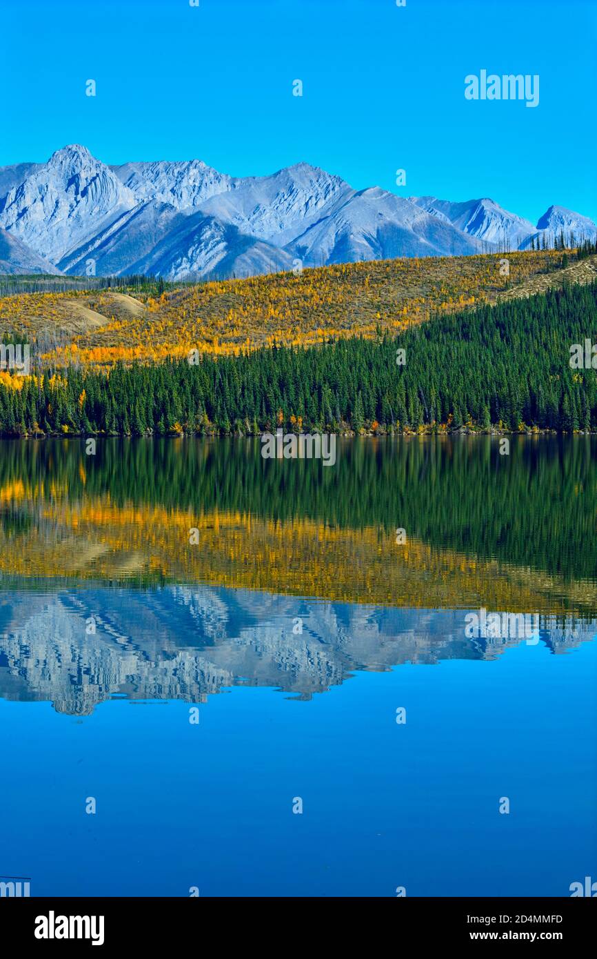 Eine wunderschöne Herbstszene der bunten Blätter entlang der Ufer auf dem Singrin Ridge, der sich in den Gewässern von Talbot spiegelt see im Jasper National Park in Stockfoto