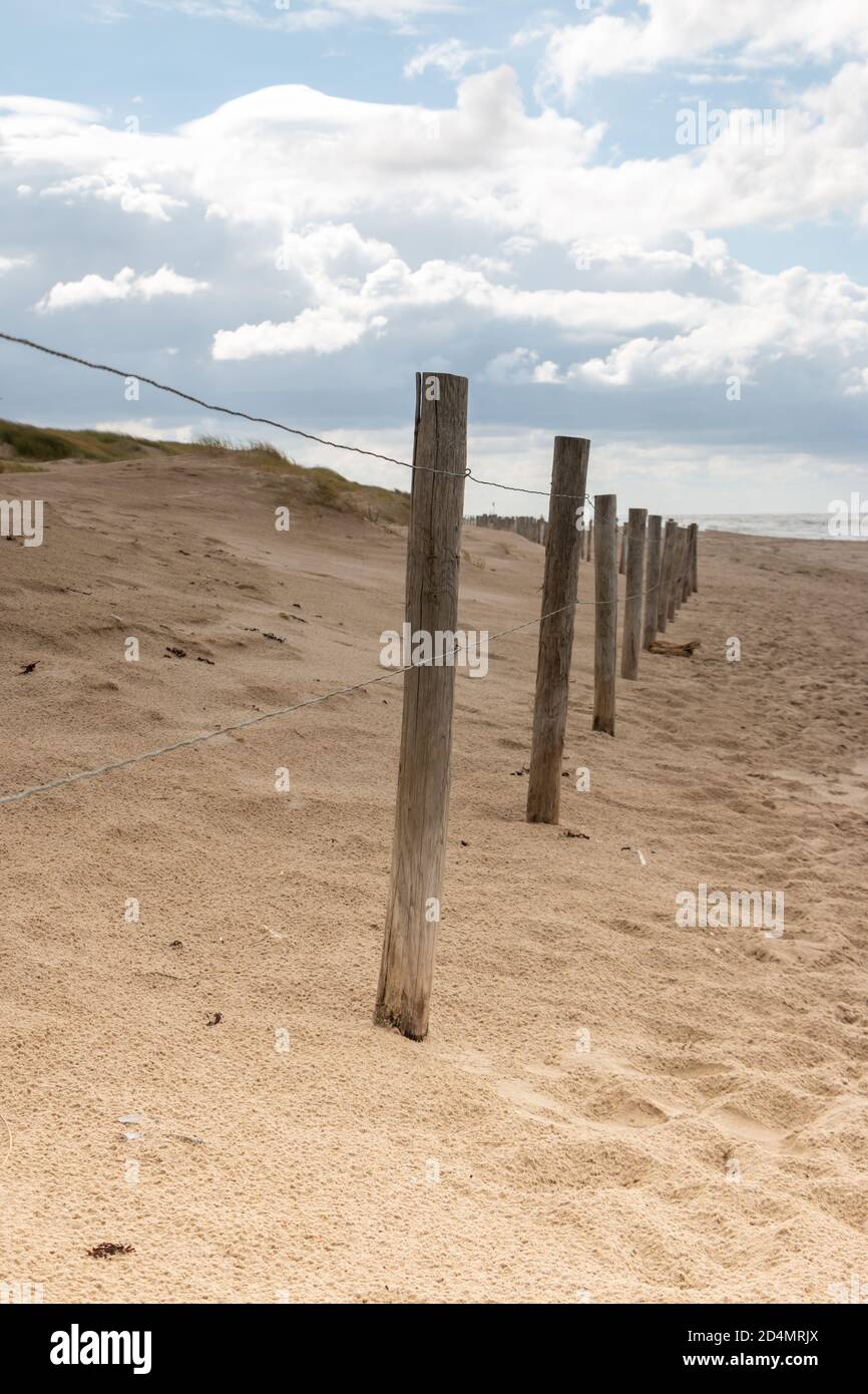 Die Nordseeküste in den Niederlanden mit Strandsand Und Stangen in der Nähe der Dünen Stockfoto