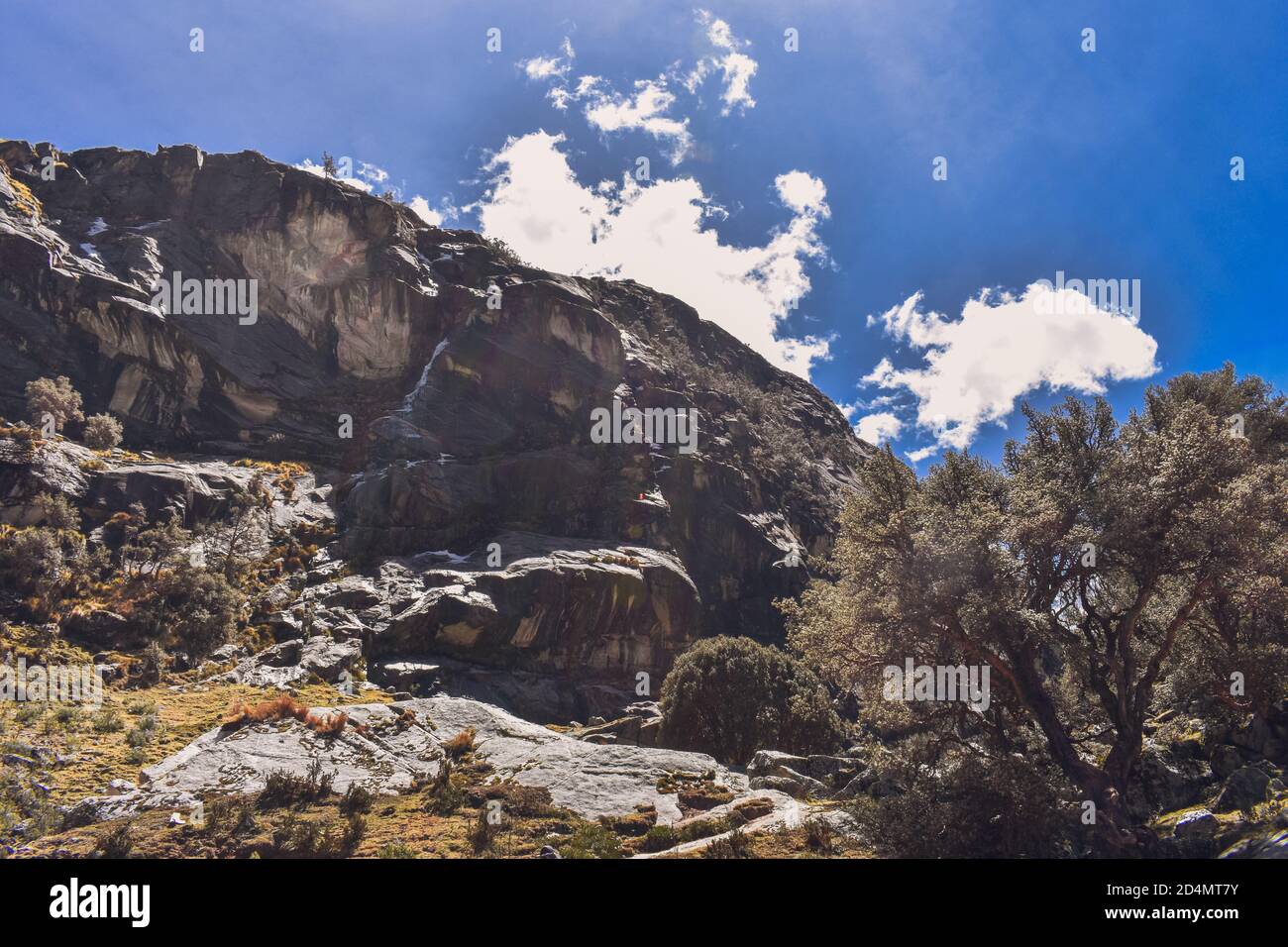 Bergwandern mit Blick auf den Baum Stockfoto