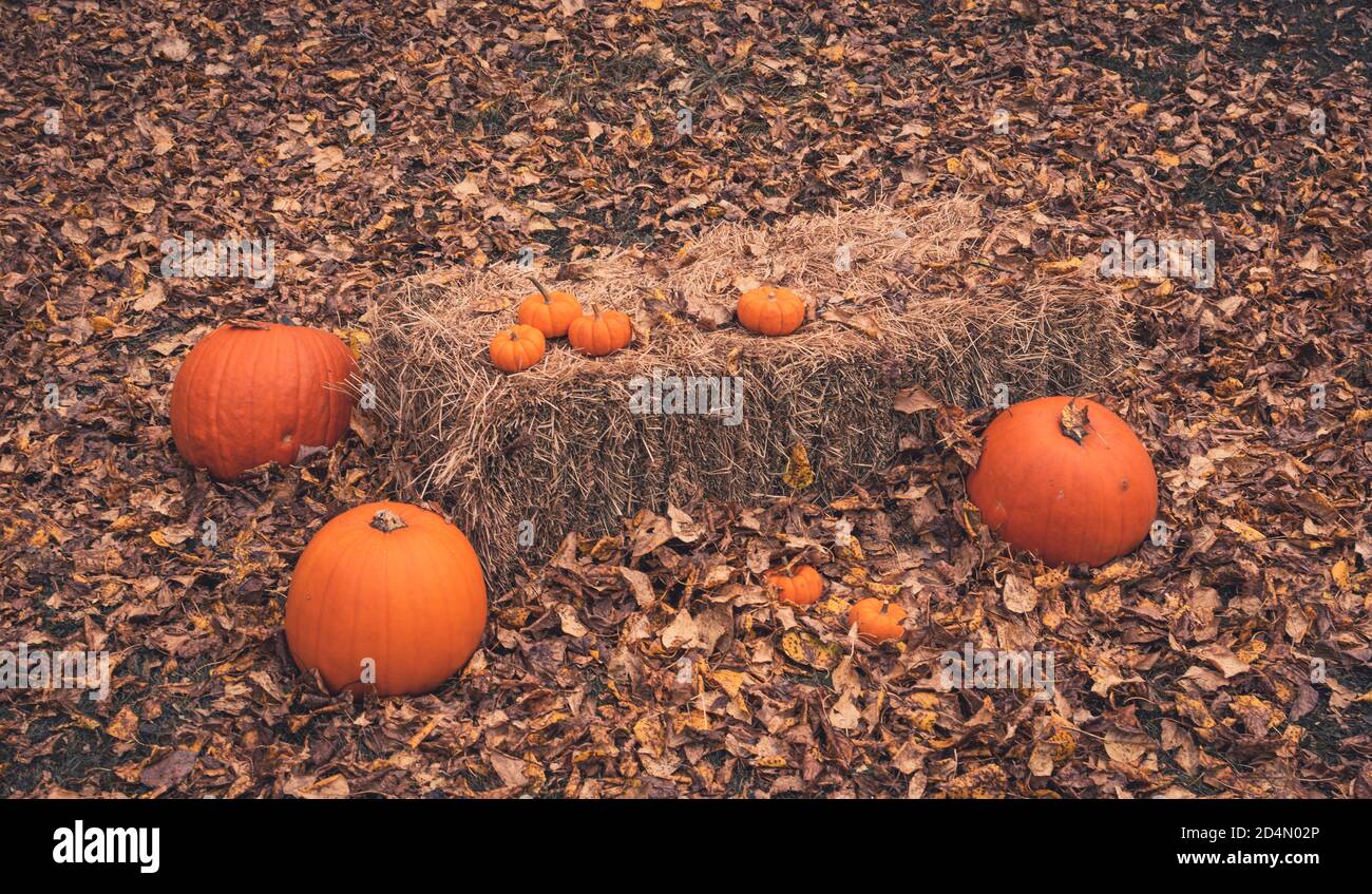 Ein Heuballen, der während des Erntedankfestes in einem Hof sitzt, der von gefallenen Blättern umgeben ist, umgeben von orangefarbenen Kürbissen. Stockfoto