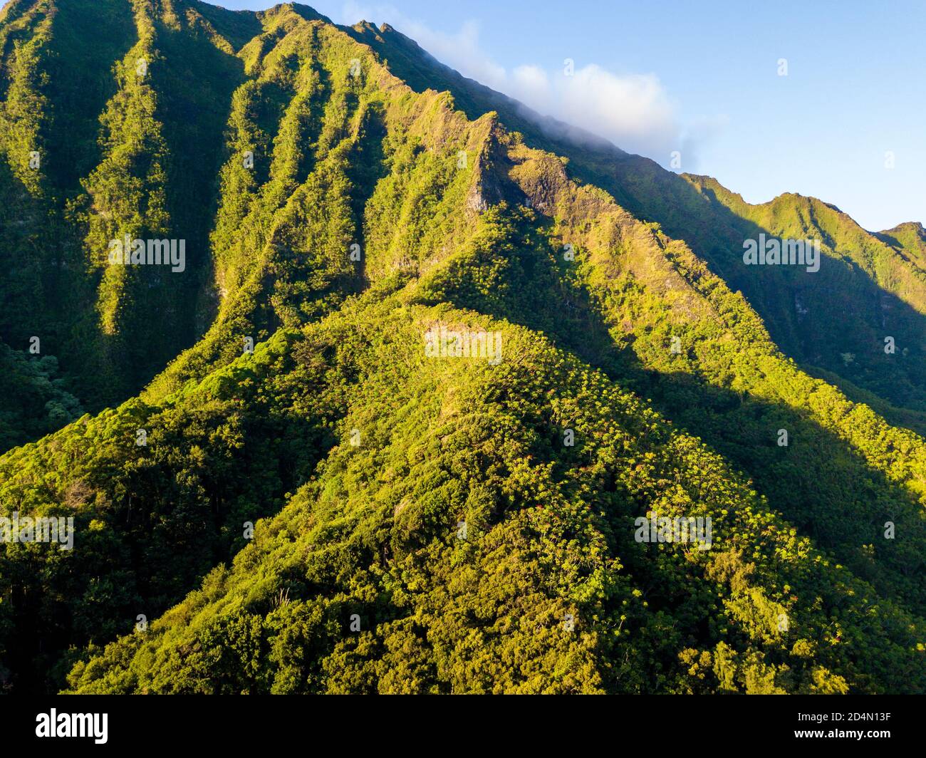 Schöne grüne Berge im Ho'omaluhia Botanischen Garten in Hawaii Stockfoto