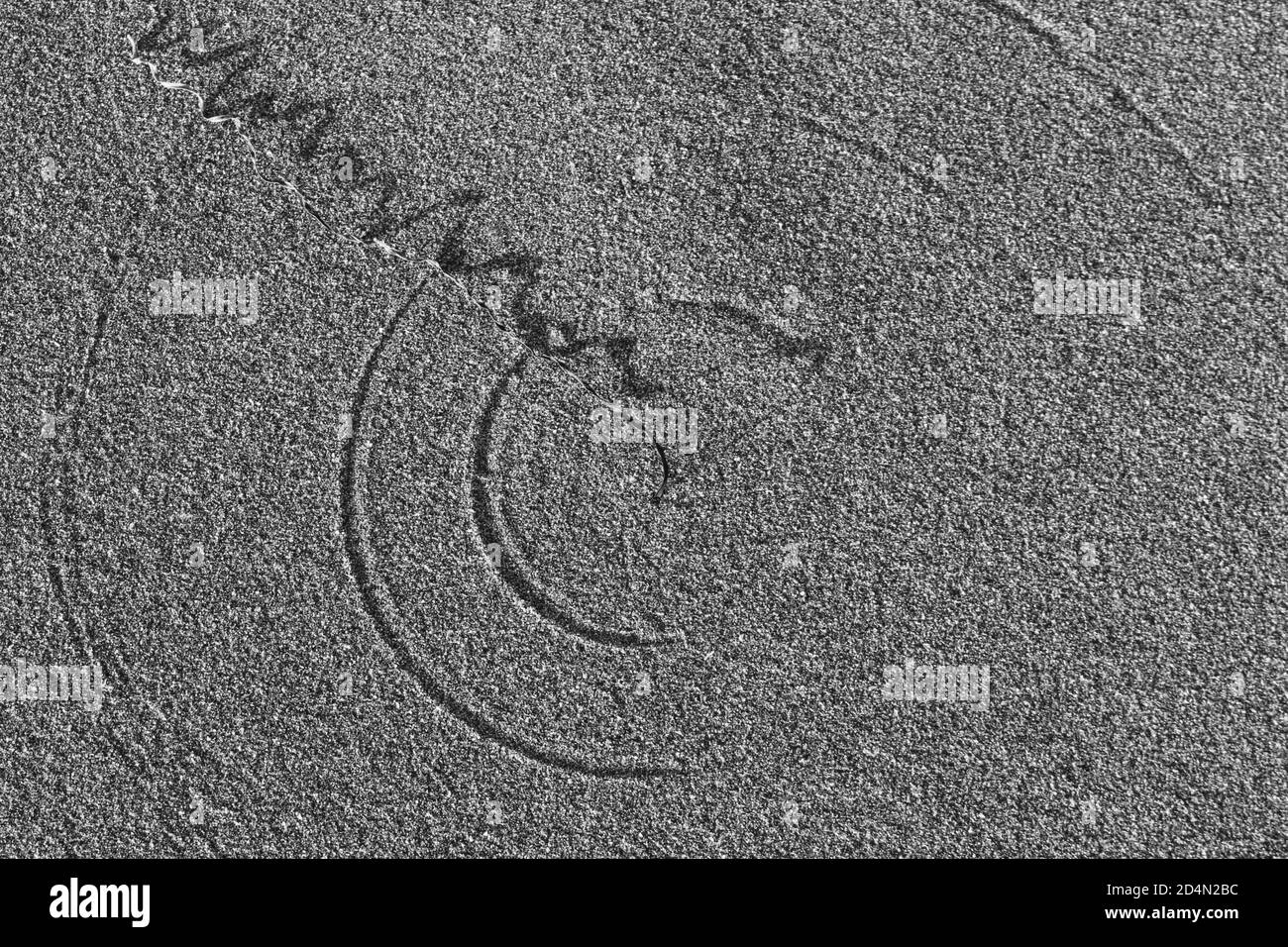 Windgeblasene Algen bilden Kreise im Sand Stockfoto