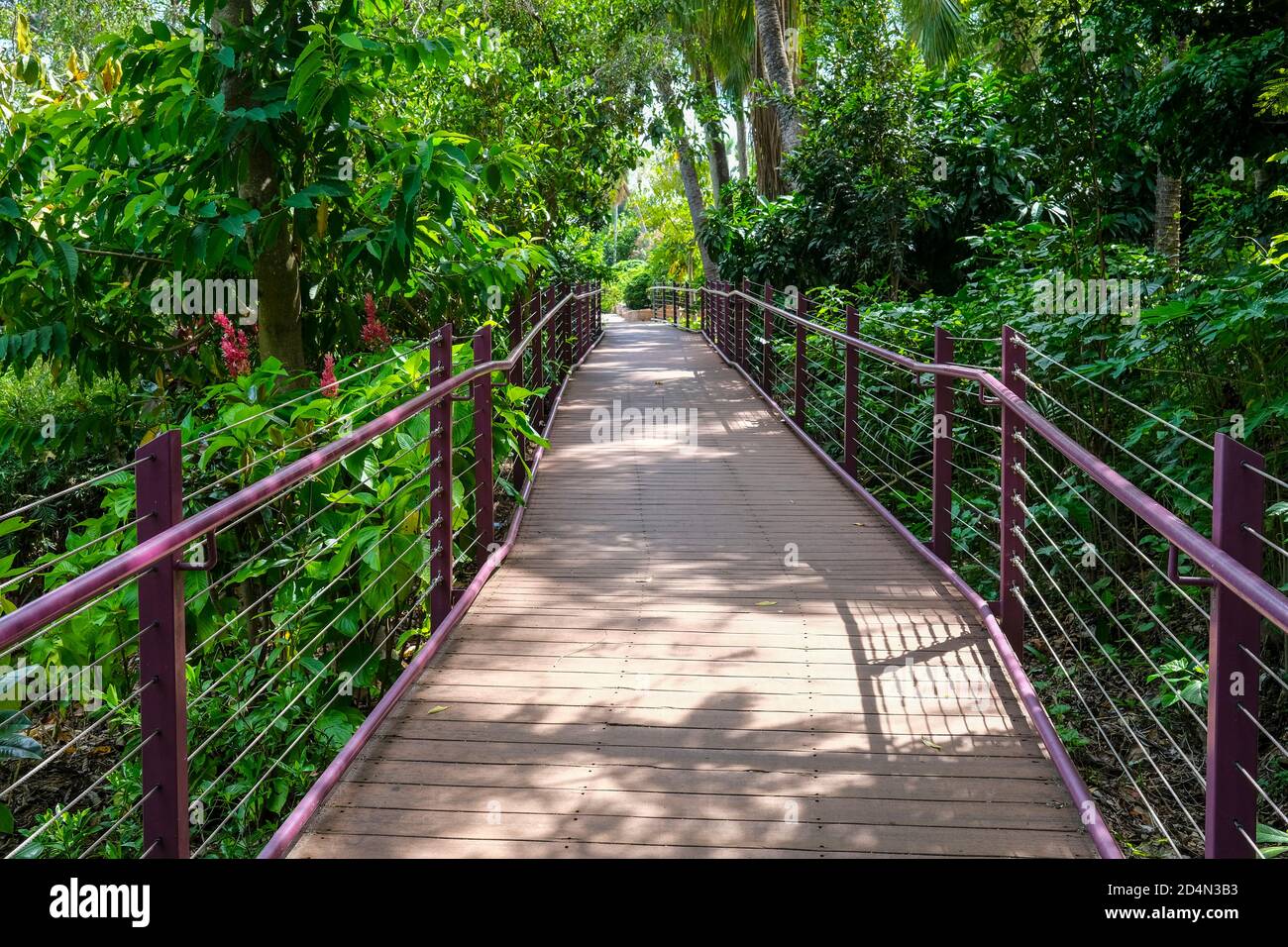 Boardwalk in den George Brown Darwin Botanic Gardens in Darwin City im Northern Territory von Australien. Stockfoto