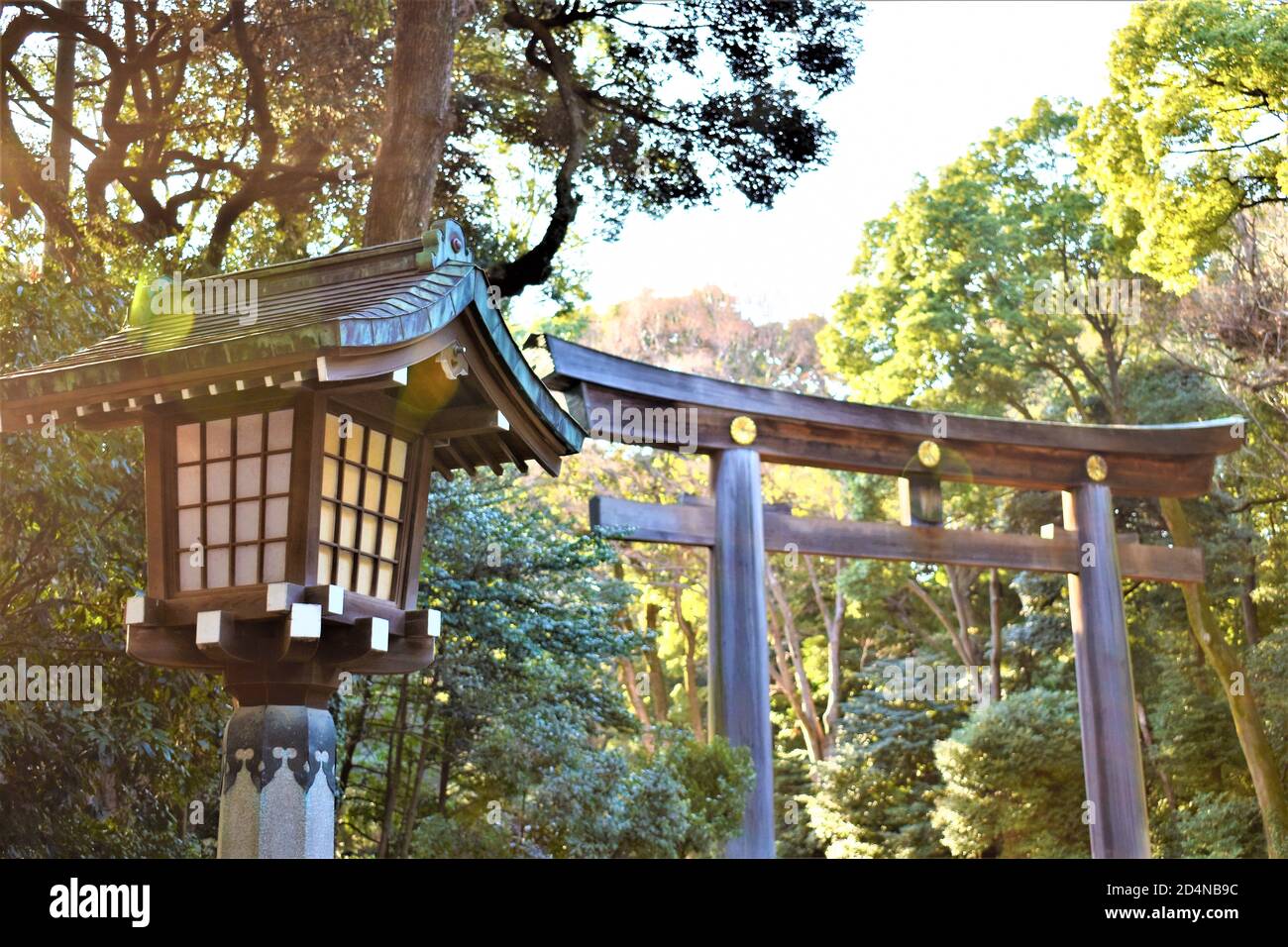 Eine traditionelle japanische Holzlaterne und ein großes Torii-Tor Oder Bogen begrüßt eifrige Anhänger zu einem schintoistischen Schrein Stockfoto