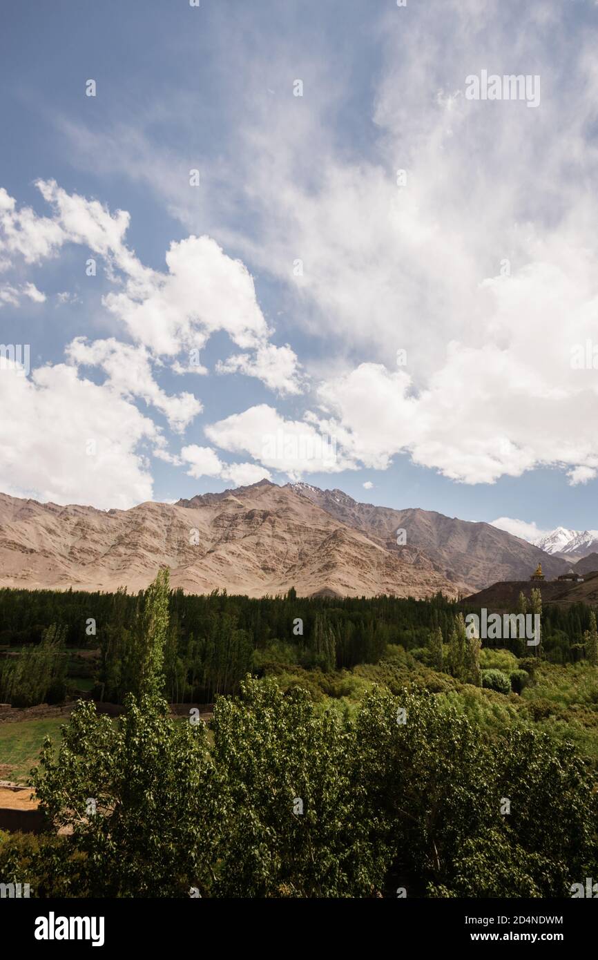 Weitwinkelaufnahme der trockenen und trockenen Himalaya-Berglandschaft mit Wolken und Bäumen in Leh, Ladakh, Indien Stockfoto