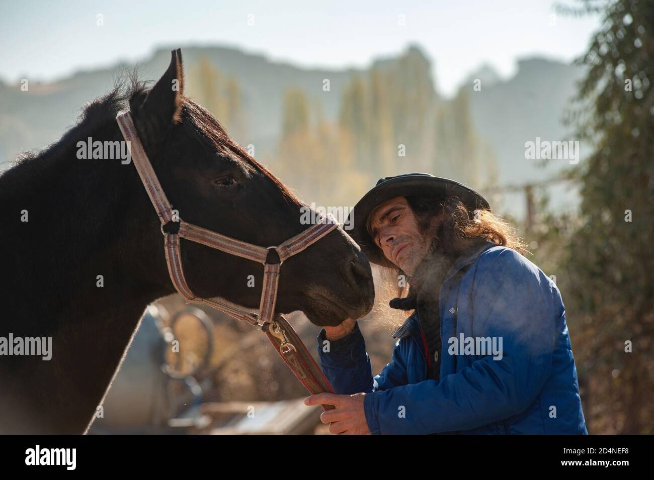 Kappadokien, Türkei. 8. November 2017 Ekram ist bekannt als der Pferdeflüsterer von Kappadokien, er ist leidenschaftlich über Pferde und die lokale Umgebung und Stockfoto