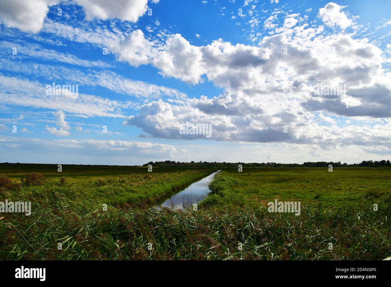 RSPB North Warren Nature Reserve, zwischen Thorpeness und Aldeburgh, Suffolk, Großbritannien Stockfoto