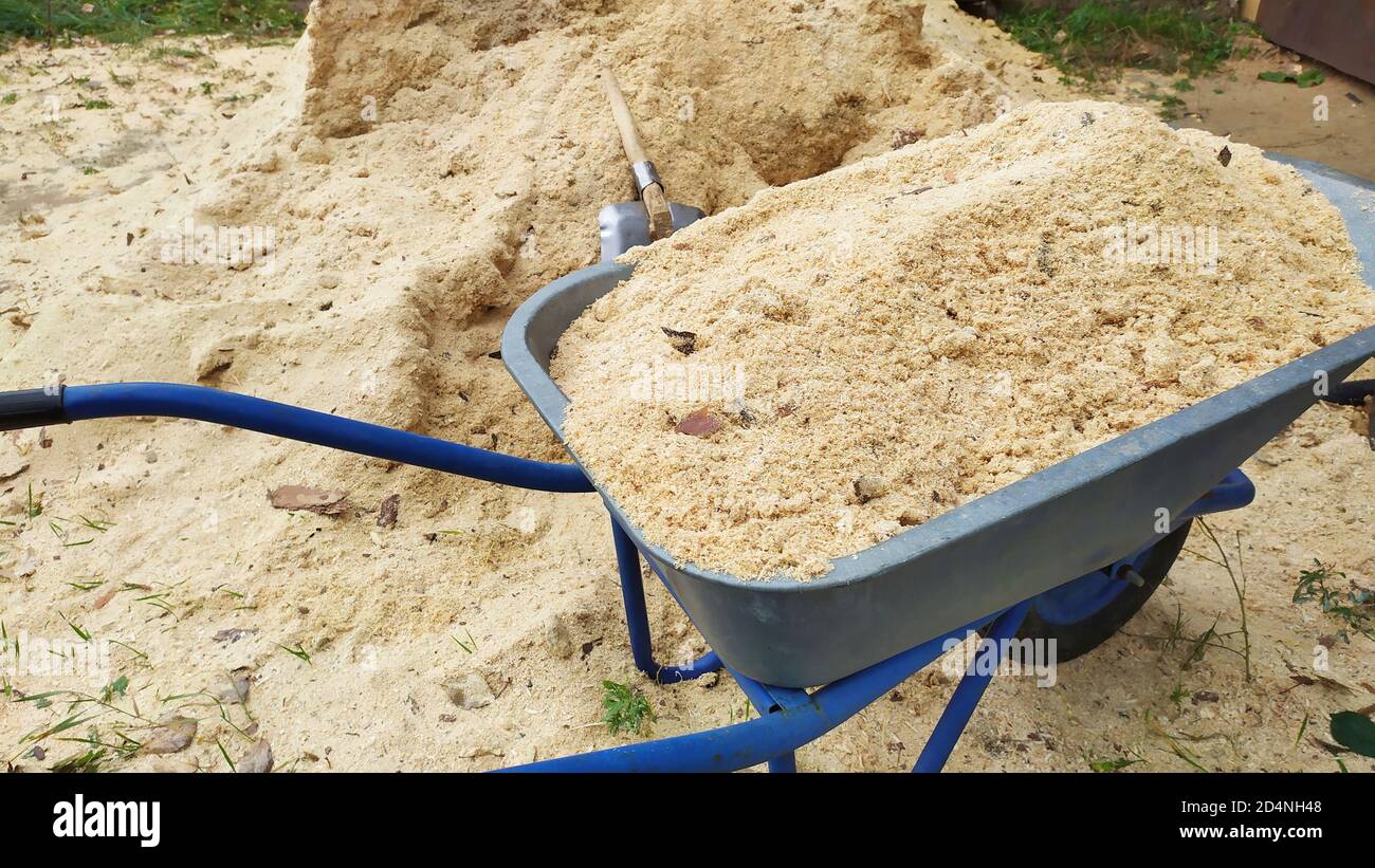 Gartenwagen mit Sägemehl der Nadelarten der Bäume. Reinigung des Gartengrundstücks. Ein Haufen Sägemehl. Sägemehl ist aufgestapelt. Stockfoto