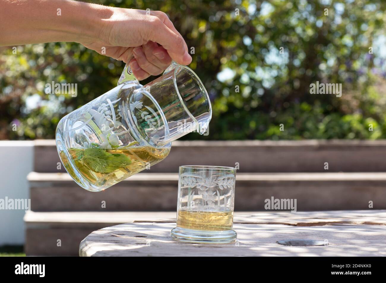 Eine weibliche Hand hält eine geätzte Glaskaraffe mit gesunden Hausgemachter Saft und Minzblätter neben einem Glas draußen In einer natürlichen Umgebung auf einem sonnigen d Stockfoto