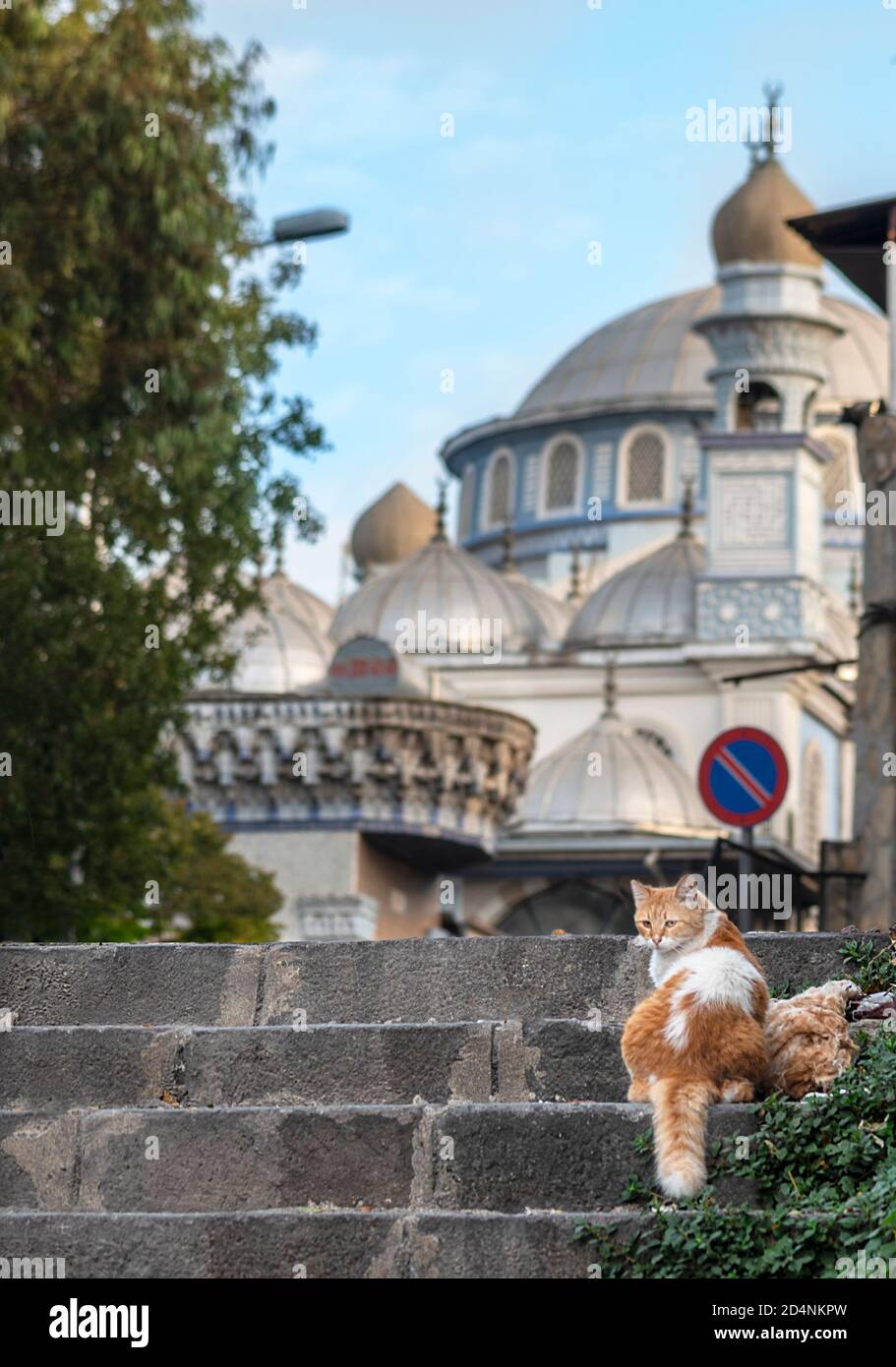 Konak, das Kultur-, Kunst- und Unterhaltungszentrum von İzmir, wird von einheimischen und ausländischen Touristen besucht. Stockfoto