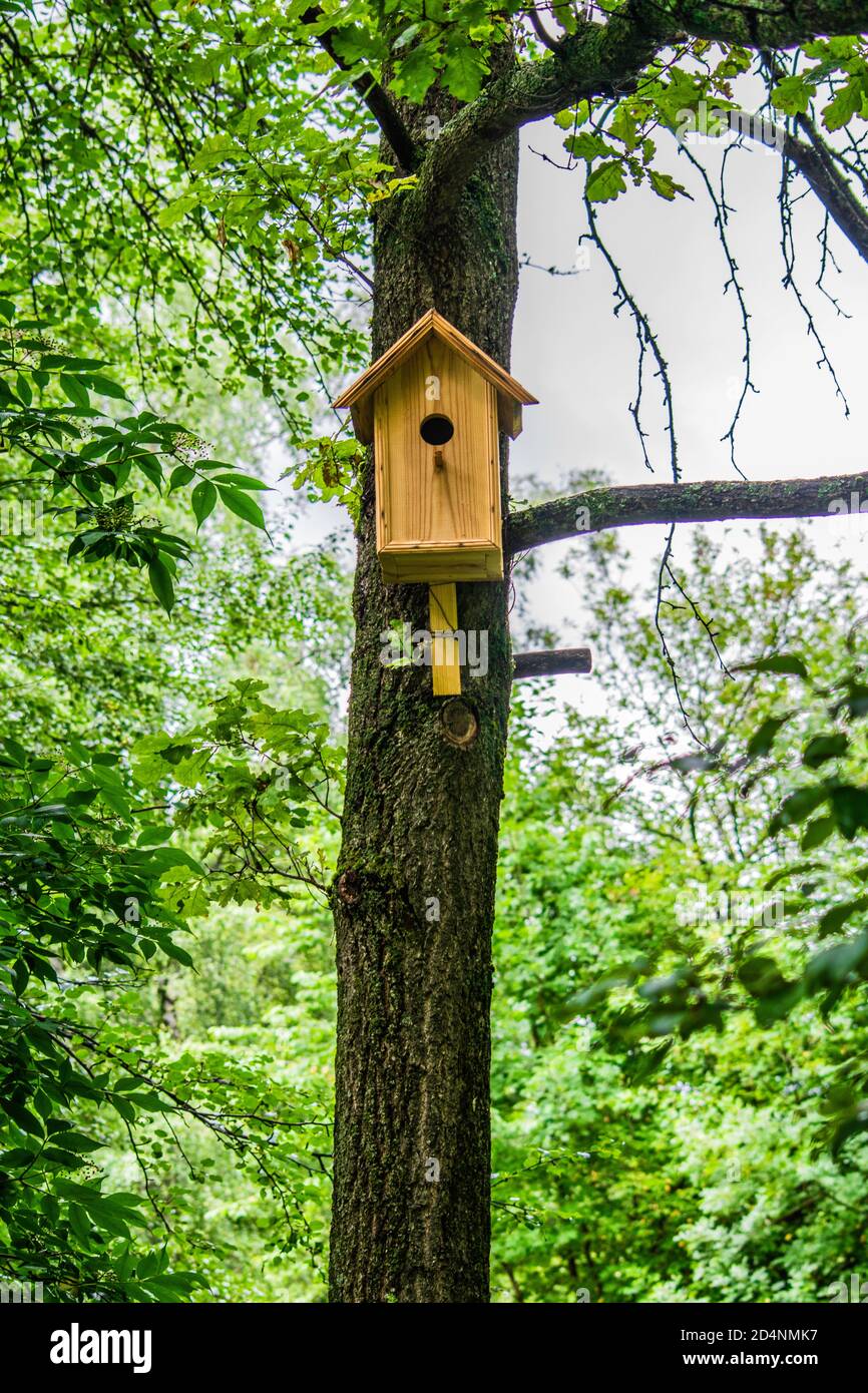 Konzept des Naturschutzes, handgefertigtes Vogelhaus für Vögel, die an einem Baum hängen Stockfoto
