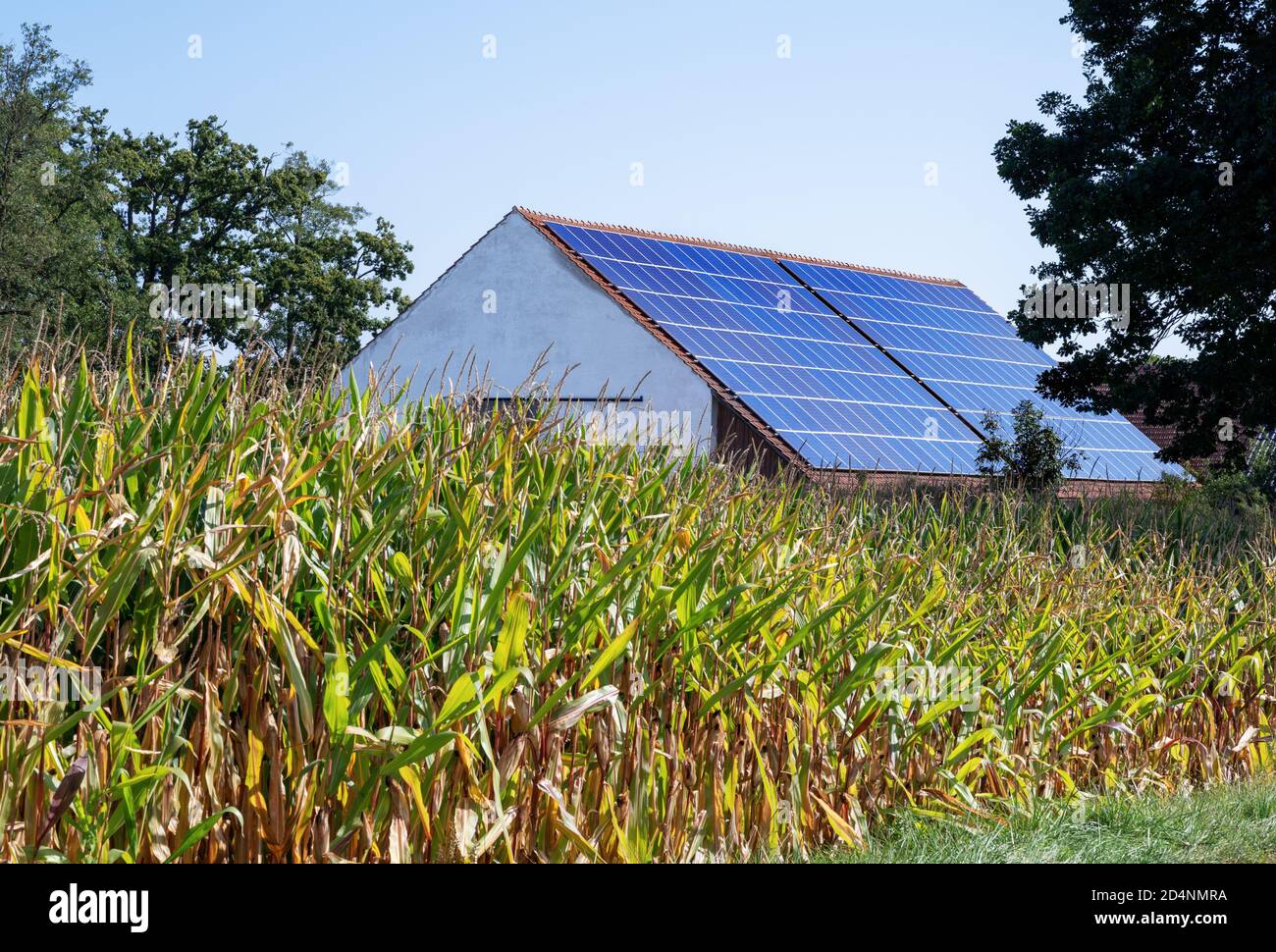 Grüner Energie mit Solarkollektoren auf dem Dach eines landwirtschaftlichen Gebäudes Stockfoto