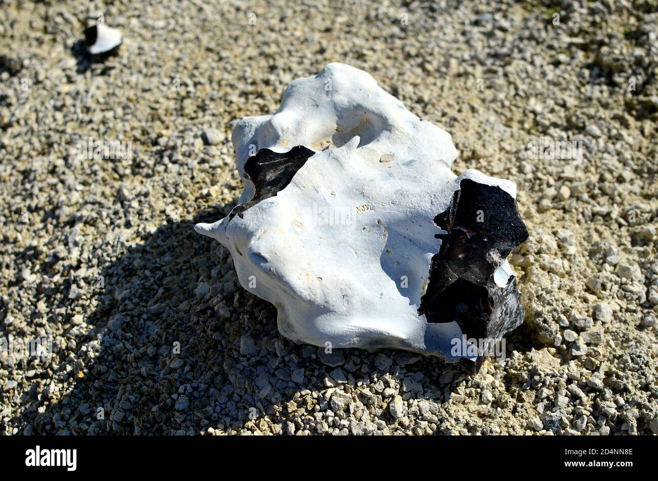 Natürliche Kreidesteine Hintergrund. Kreide ist ein weiches, weißes,  poröses, sedimentäres Karbonatgestein, eine Form von Kalkstein, der aus dem  Mineral Calcit besteht. Rock Stockfotografie - Alamy