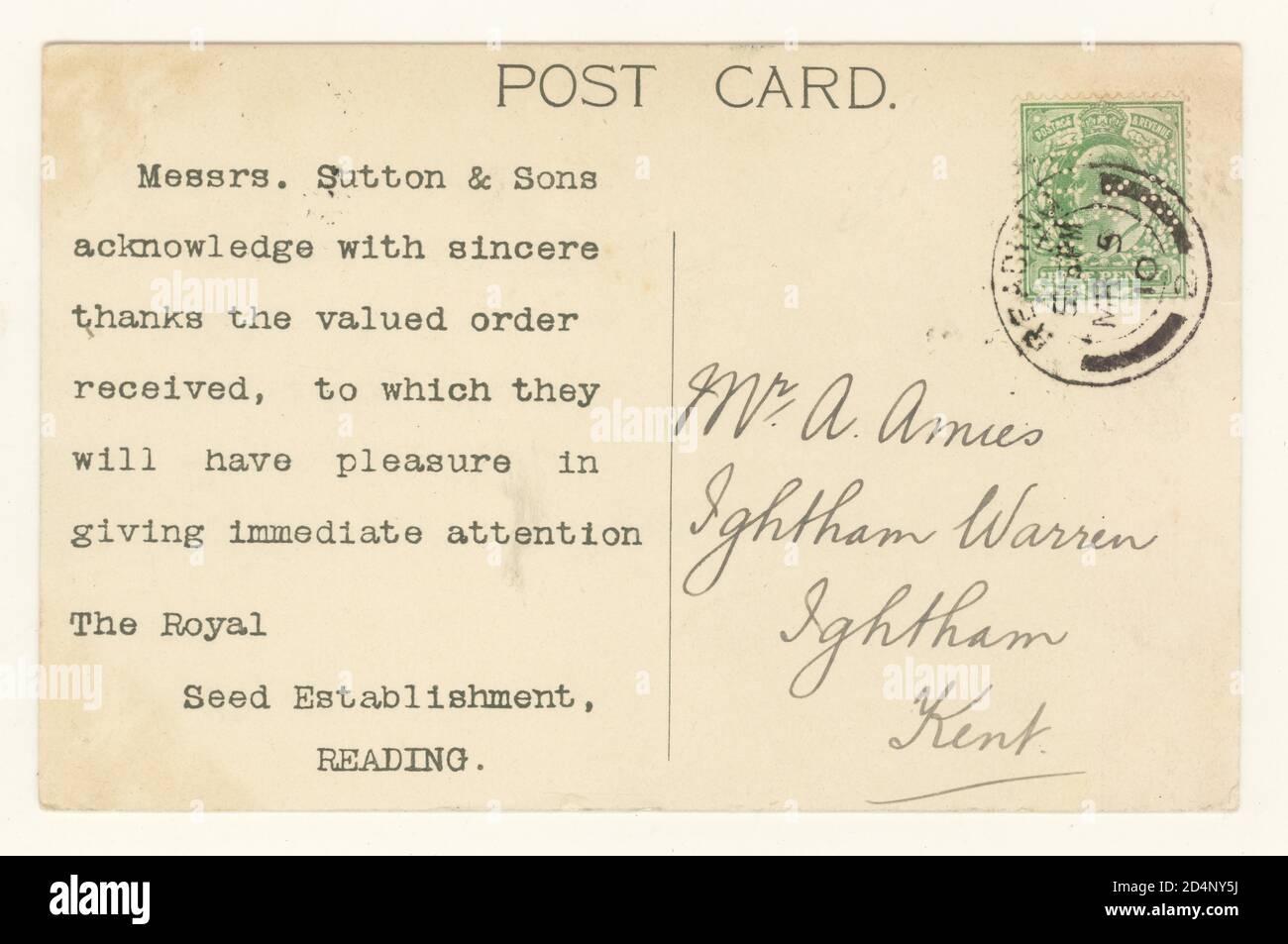 Rückseite der Edwardianischen Postkarte Auftragsbestätigung für Suttons Seeds, Reading, Berks. Verfasst am 5. März 1910, U.K. Stockfoto