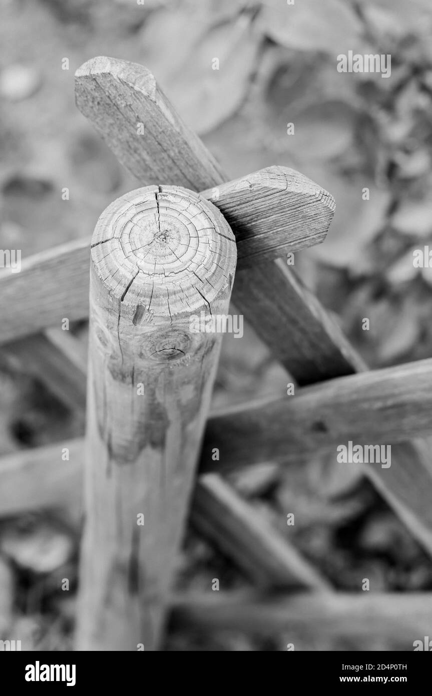Graustufen Nahaufnahme eines hölzernen Zaunmastes Stockfoto