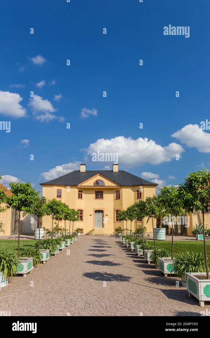 Kleine Bäume im Garten von Schloss Belvedere in Weimar Stockfotografie