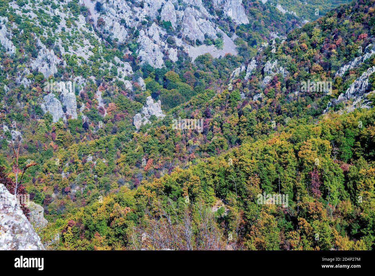 Bunte Waldlandschaft an den Hängen eines felsigen Berges Gesicht Stockfoto