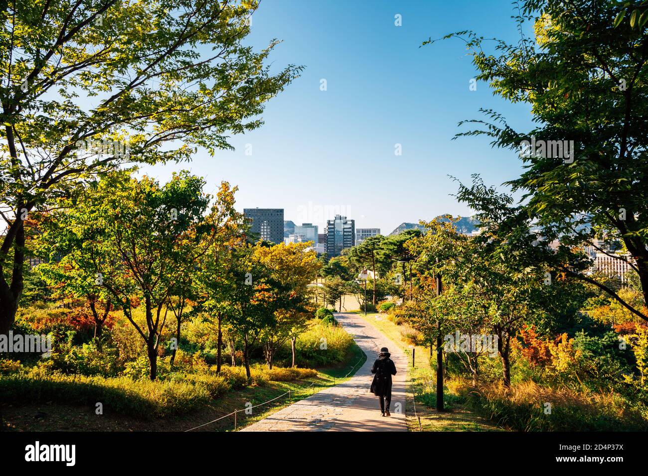 Herbst Namsan Park Baekbeom plaza in Seoul, Korea Stockfoto