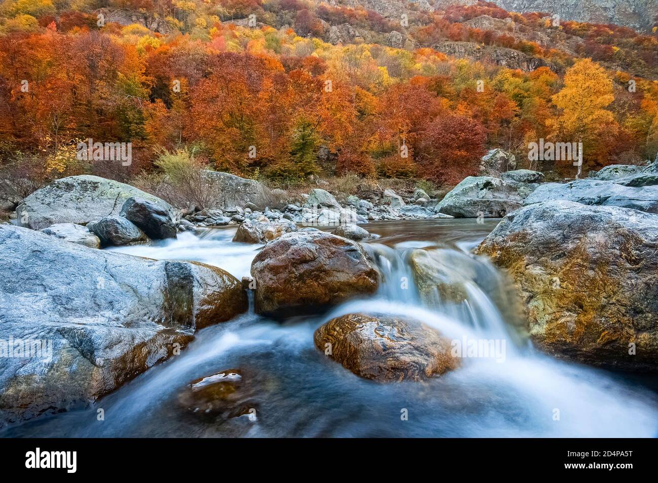 Italien Piemont Valle Gesso - Herbst Stockfoto