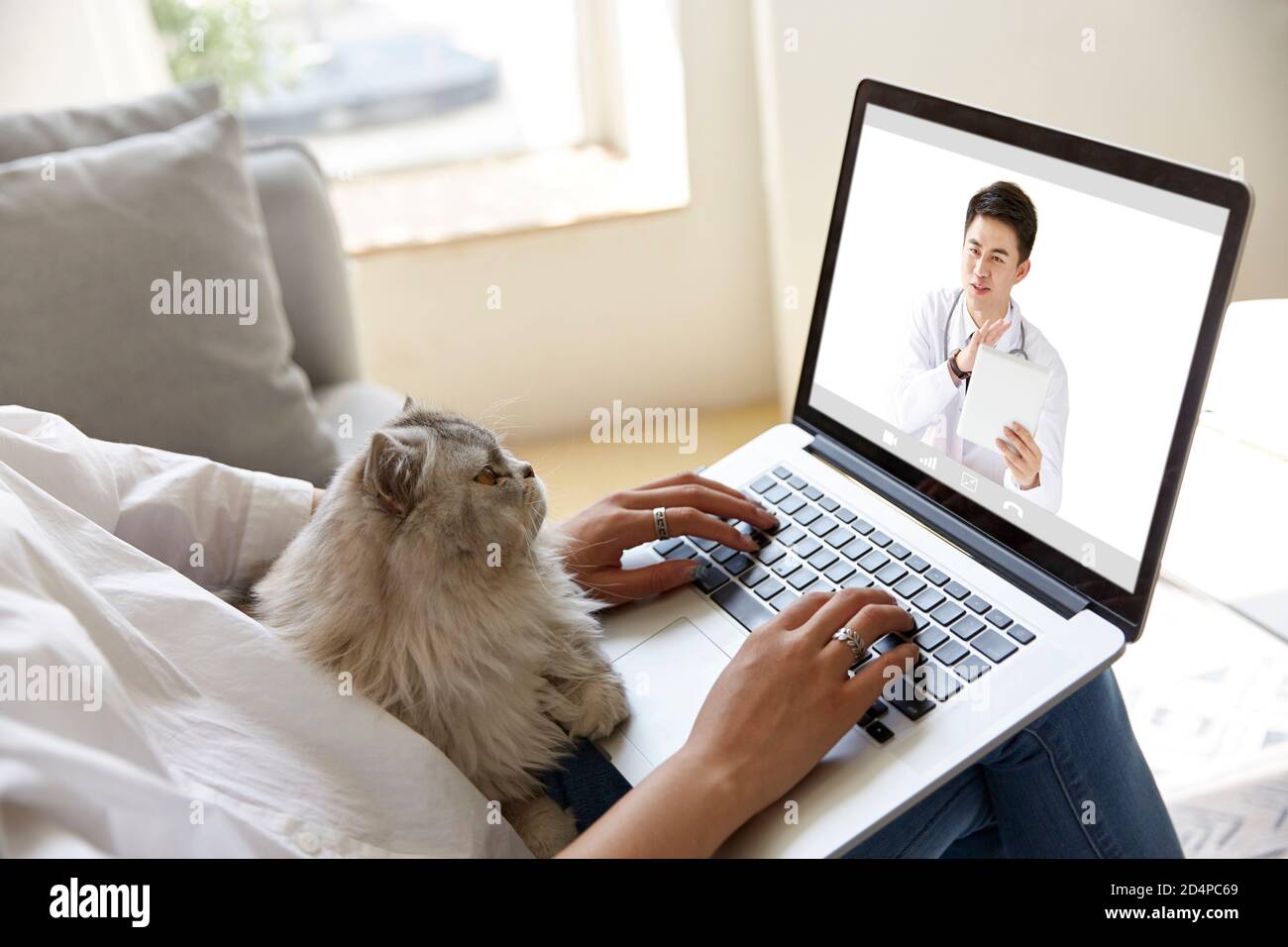 Junge asiatische Frau Beratung Hausarzt über Video-Chat mit Laptop-Computer mit Haustier Katze auf ihrer Seite Stockfoto