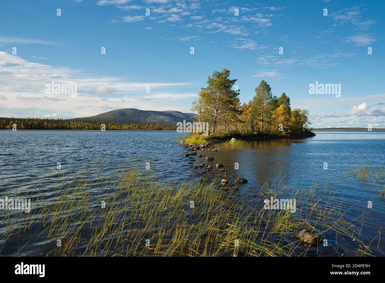 Pallasjärvi-See im Pallas-Yllästunturi-Nationalpark fällt Pallas im Hintergrund Stockfoto