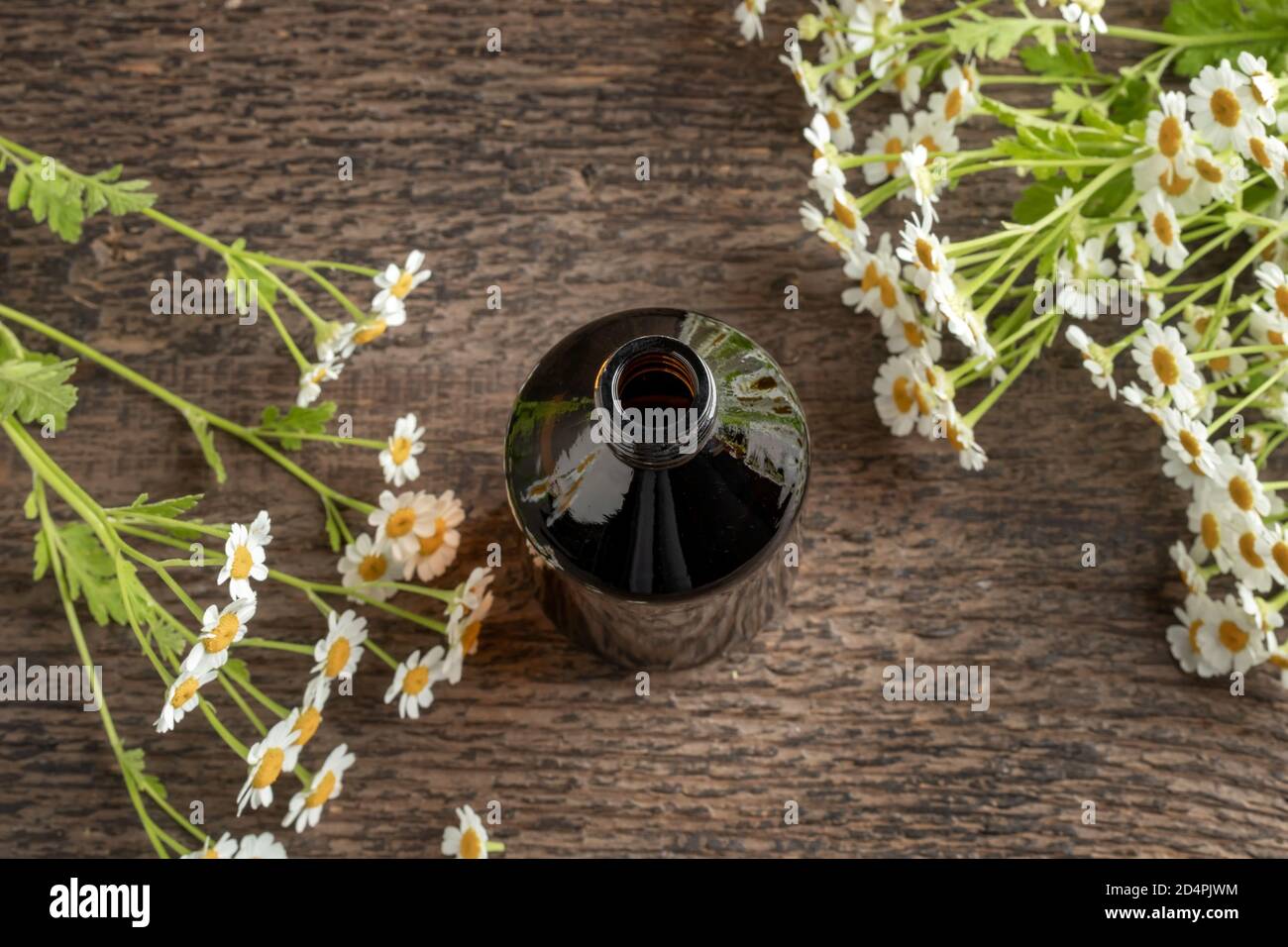 Eine dunkle Flasche Kräutertinktur mit blühender Feverfew-Pflanze Stockfoto