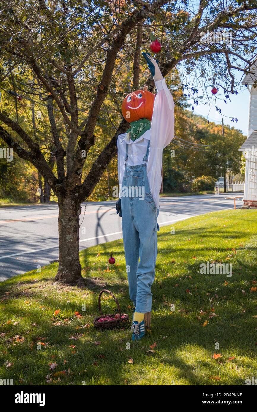 Branchville, NJ / USA - 9. Oktober 2020: Vogelscheuchen werden in der Nachbarschaft für gesellschaftlich distanzierte Herbstaktivitäten und Wettkämpfe dekoriert Stockfoto