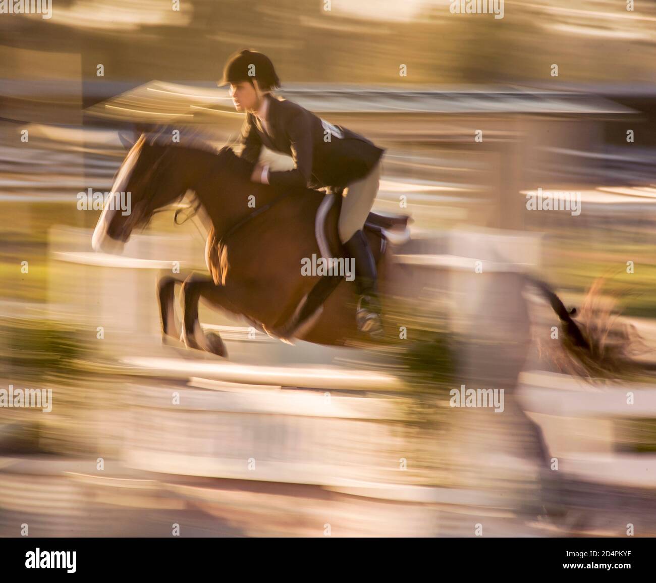 Junges Mädchen und Pony konkurrieren im Springen Stockfoto